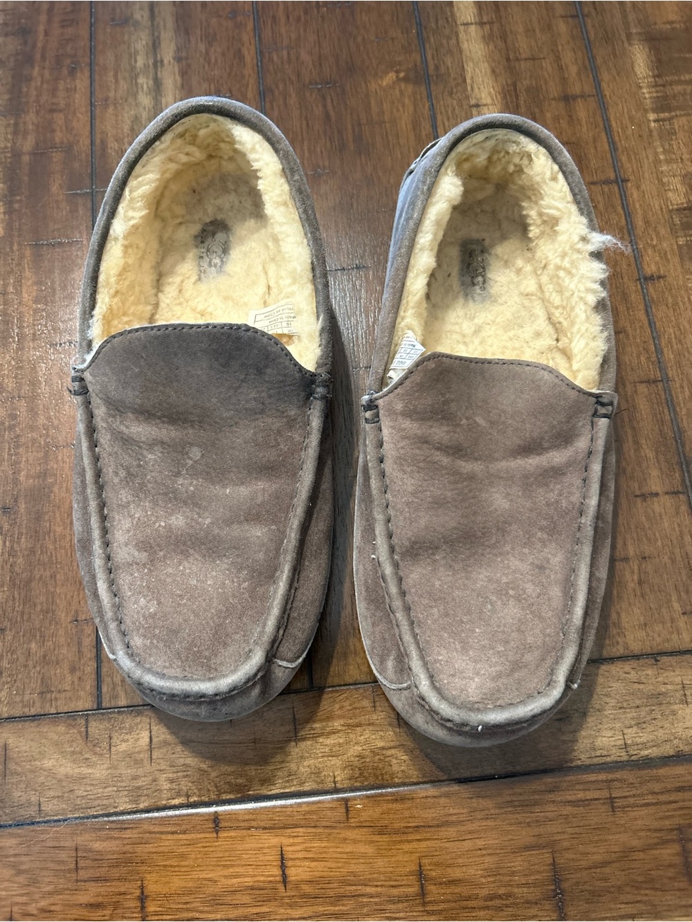 UGG Ascot 5775 Gray Suede Sheepskin Slippers Men’s Size 11